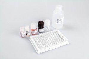 Syphilis EIA Test Kit